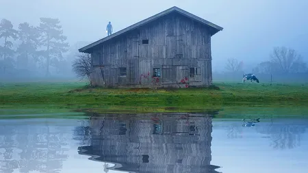 O adolescentă din SUA s-a prefăcut că este moartă pentru a scăpa de ucigaşul prietenei sale. Acesta i-a înjunghiat colega, după care a încercat să o stranguleze şi pe ea
