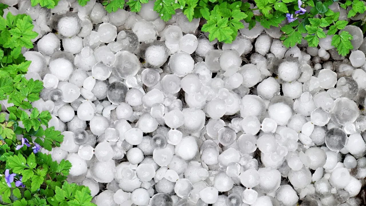 Ministerul Agriculturii intervine după ce fermierii au cerut reactivarea Sistemului ANTIGRINDINĂ. „Punctele de lansare existente nu au fost omologate”