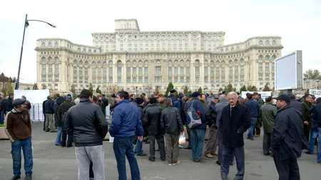 Protest al silvicultorilor față de agresiunile din ultima perioadă. Iohannis și Dăncilă, invitați