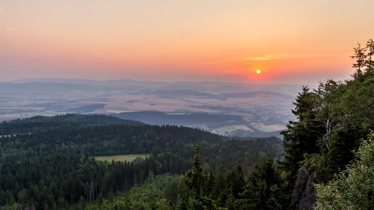 Prețul de nimic pentru care românii își vând pădurile