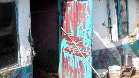 O comisie a recoltelor neculese și a pomilor altoiți ne-a „plantat