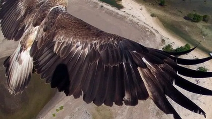 Cele mai fascinante imagini surprinse de drone în 2014