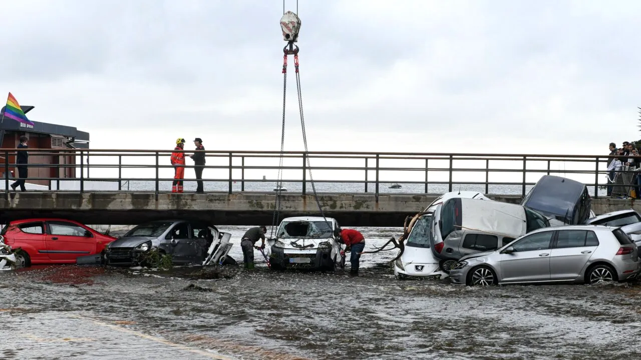 (P) Consiliul Județean ILFOV a început RECENSĂMÂNTUL câinilor cu și fără stăpân