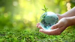 Ce au descoperit cercetătorii despre reproducerea primelor plante de pe pământ. Ce arată un studiu