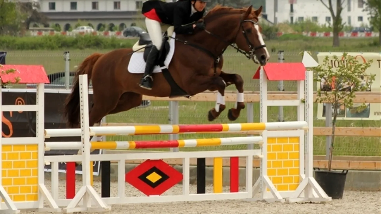 Primul concurs hipic internațional de sărituri peste obstacole, organizat în România după 7 ani de pauză. Premii de 45.000 de euro