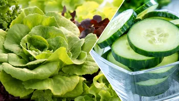 Ce se întâmplă în organism dacă mănânci salată verde și castraveți. Se află printre alimentele des consumate vara