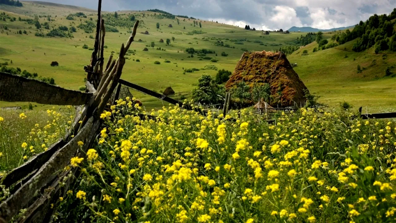 Un portal de călătorie le oferă străinilor 15 motive - fără frunză - pentru a vizita România 