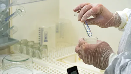 Au fost confirmate primele două decese cauzate de febra Oropouche. Ce este această boală și cum se transmite