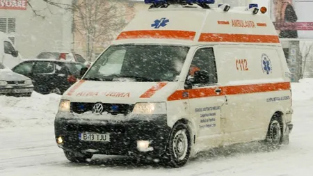 FOTE 2013 Spectatorul mușcat de un câine, în timpul probei de sărituri cu schiurile, se afla într-o zonă cu acces interzis