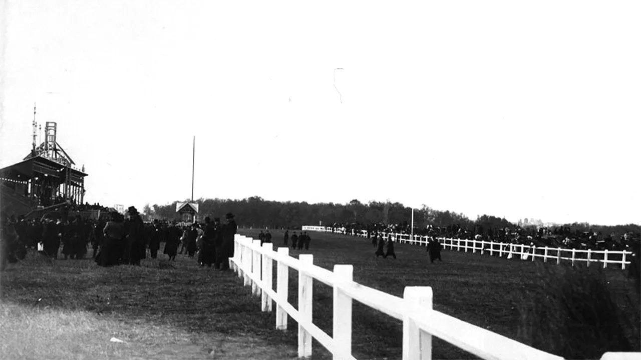 O poveste a degradării. De la mândria orașului, la o ruină care adăpostește mai mulți câini maidanezi decât cai