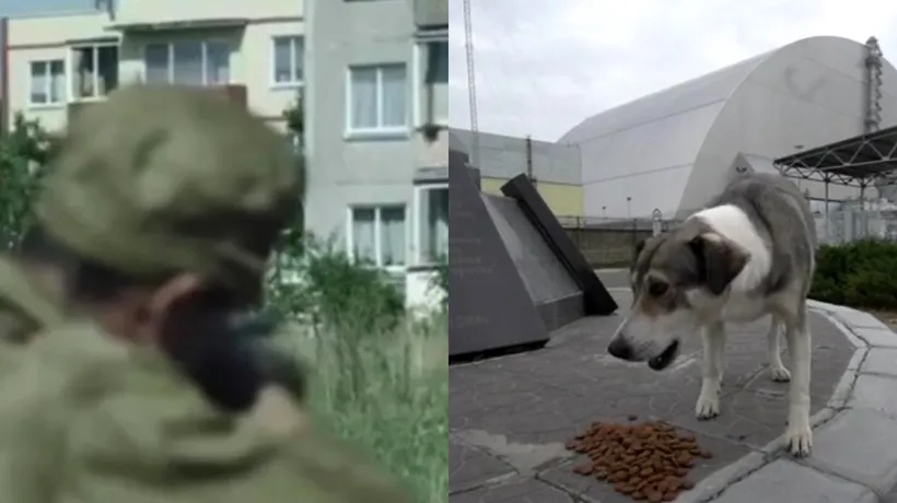 Maidanezii de la Cernobîl, hrăniți de un fost cercetător. În loc de pușcă, Lucas cară în spate un sac mare cu mâncare: „Nici nu trebuie să-i chem, pentru că recunosc duba