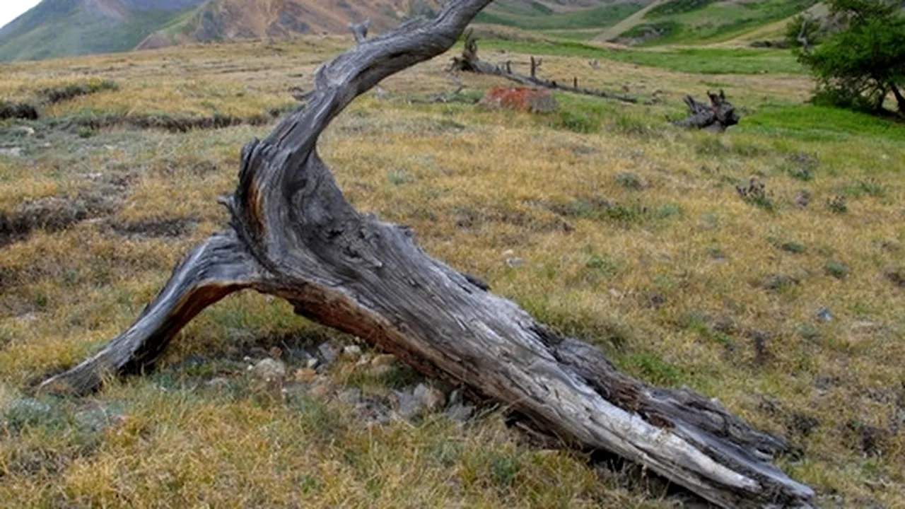 ENIGMA anului 536 a fost rezolvată. Cum a schimbat cursul istoriei