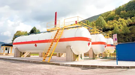 Crimbo Gas, firmă deținută de mama lui Cristi Borcea, a împrumutat 16,5 mil. euro de la Unicredit