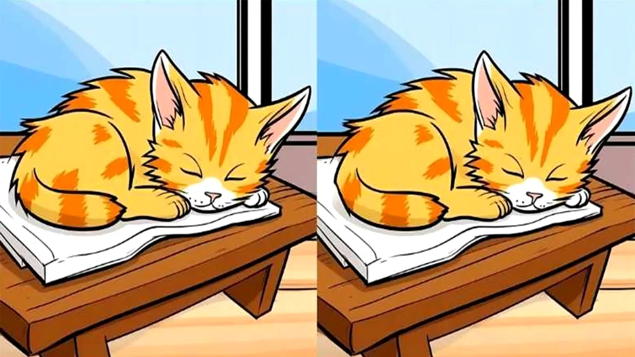 Test de logică | Găsiți toate cele 3 diferențe dintre aceste două imagini. Atenție la pisică!