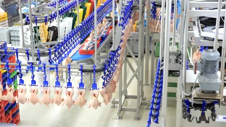 Mutare surpriză făcută de cel mai mare producător de carne de pui din România