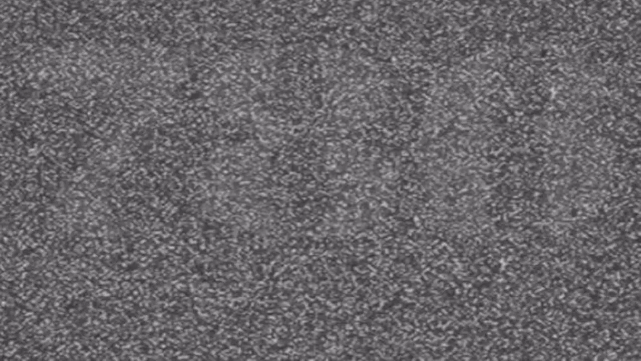 Iluzie optică pentru genii | Ce număr vezi în această fotografie?