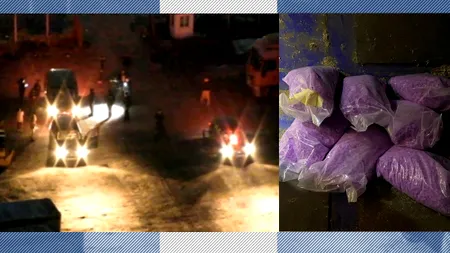 Captură-record de droguri! Polițiștii au confiscat pastile ecstasy de 4 milioane de euro, ascunse într-o remorcă