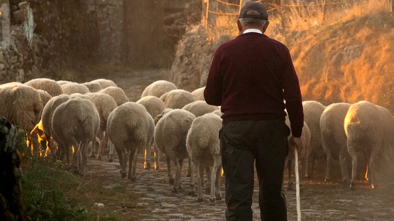 Un român din Dâmbovița a fost asaltat cu telefoane după ce a anunțat că oferă ceva GRATIS pe internet în care a investit zeci de mii de euro