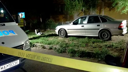 Șoferul identificat la îndemnul lui Godină, din nou liber