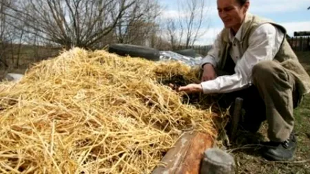 Un profesor din Harghita a renunțat la catedră și și-a înființat propria afacere. 