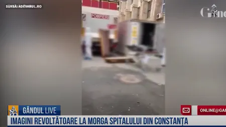 GÂNDUL LIVE. Femeia atacată de patru Rottweileri, în stare gravă/ Curtea Spitalului Județean Constanța a fost transformată în morgă