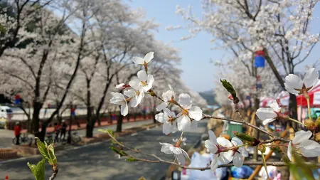 PROGNOZA METEO, 24 aprilie 2020. Vremea continuă să se încălzească