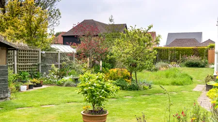 Lege pentru românii care stau la curte. Ce riscă proprietarii care nu respectă linia de hotar