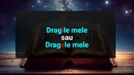 Cum se spune corect: „dragele mele” sau „dragile mele”? Expresia folosita zilnic pe care o greșim fără să ne dăm seama