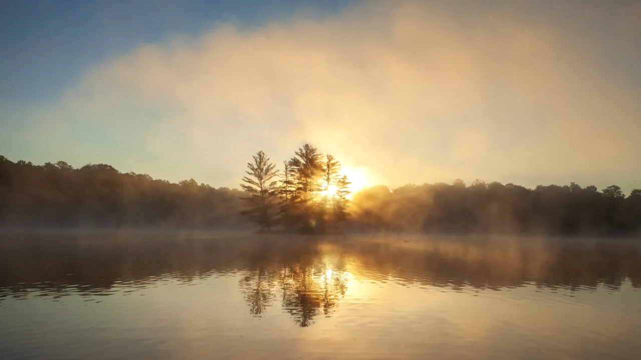 Vremea se schimbă radical. Valorile termice ajung până la 12 grade Celsius în miezul iernii. Anunțul șefei ANM, Elena Mateescu