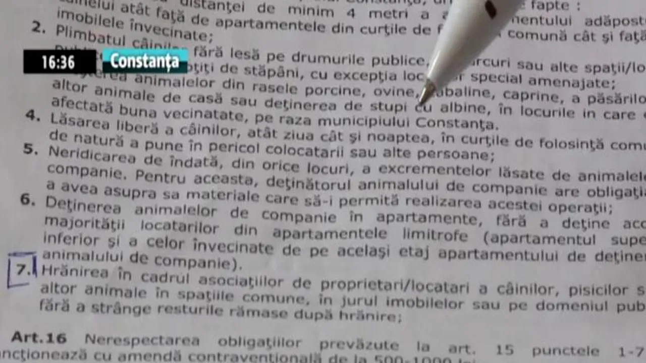 Doamna Inocenția l-a picat pe Mazăre la gramatică. Ce s-a întâmplat în primăria lui după ce a fost emisă o hotărâre