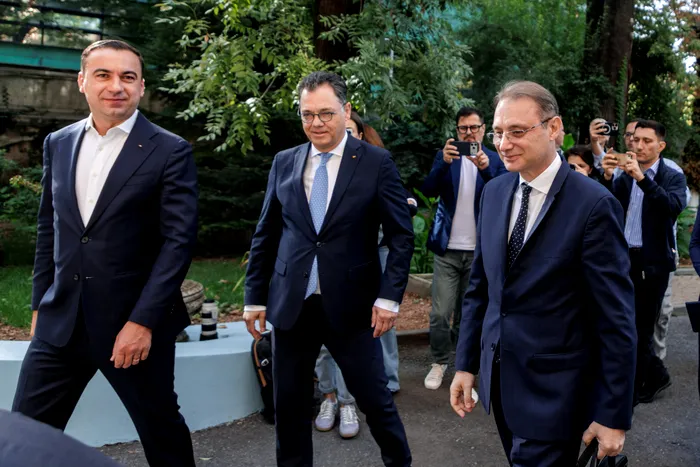 Luca Niculescu, uns premier cu voturile PSD
