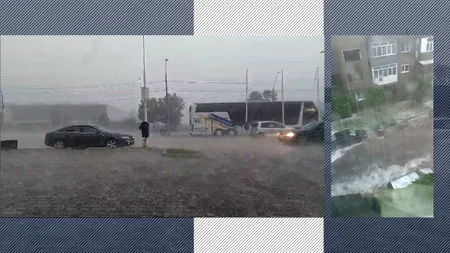 Prăpăd la ieșirea din Clisură. VIJELIA a măturat culoarul Dunării, de la Orșova la Turnu Severin