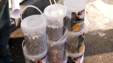 Acest bărbat din București are un credit în franci elvețieni și a decis să se răzbune pe bancă. Cum a plătit rata