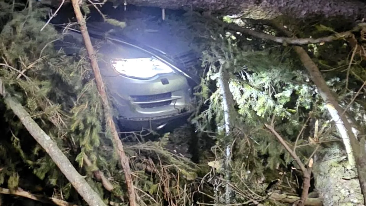 Furtuna a făcut prăpăd la Sinaia: un copac a căzut peste o mașină cu trei persoane