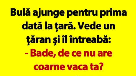 Bancul de luni | Bulă se duce la țară: „Bade, de ce nu are coarne vaca ta?”