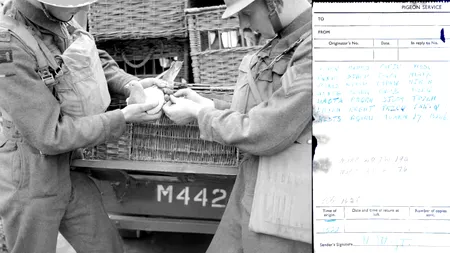 În 1942, un porumbel călător din timpul Celui de-al Doilea Război Mondial a dispărut cu un mesaj cifrat. 70 de ani mai târziu, constructorii i-au găsit rămășițele și biletul. Care era mesajul?