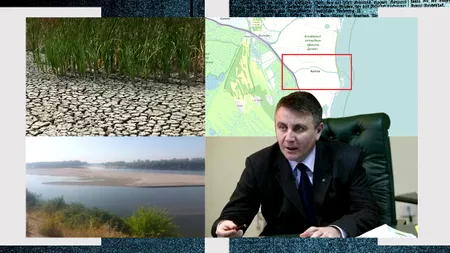 Dezastru în Delta Dunării. Canale secate, lacuri impracticabile, flora și fauna distruse. Scandalul Bâstroe, rădăcina unei crize ecologice? Fost guvernator: „Delta nu mai are apă!”