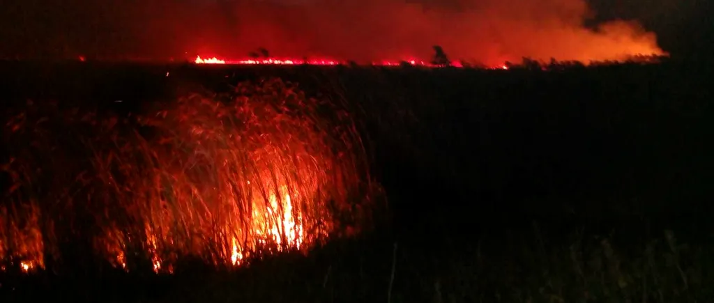 Incendiu puternic în Delta Dunării. Ard 10 hectare de vegetație uscată, iar intervenția pompierilor este îngreunată de întuneric și de terenul mlăștinos