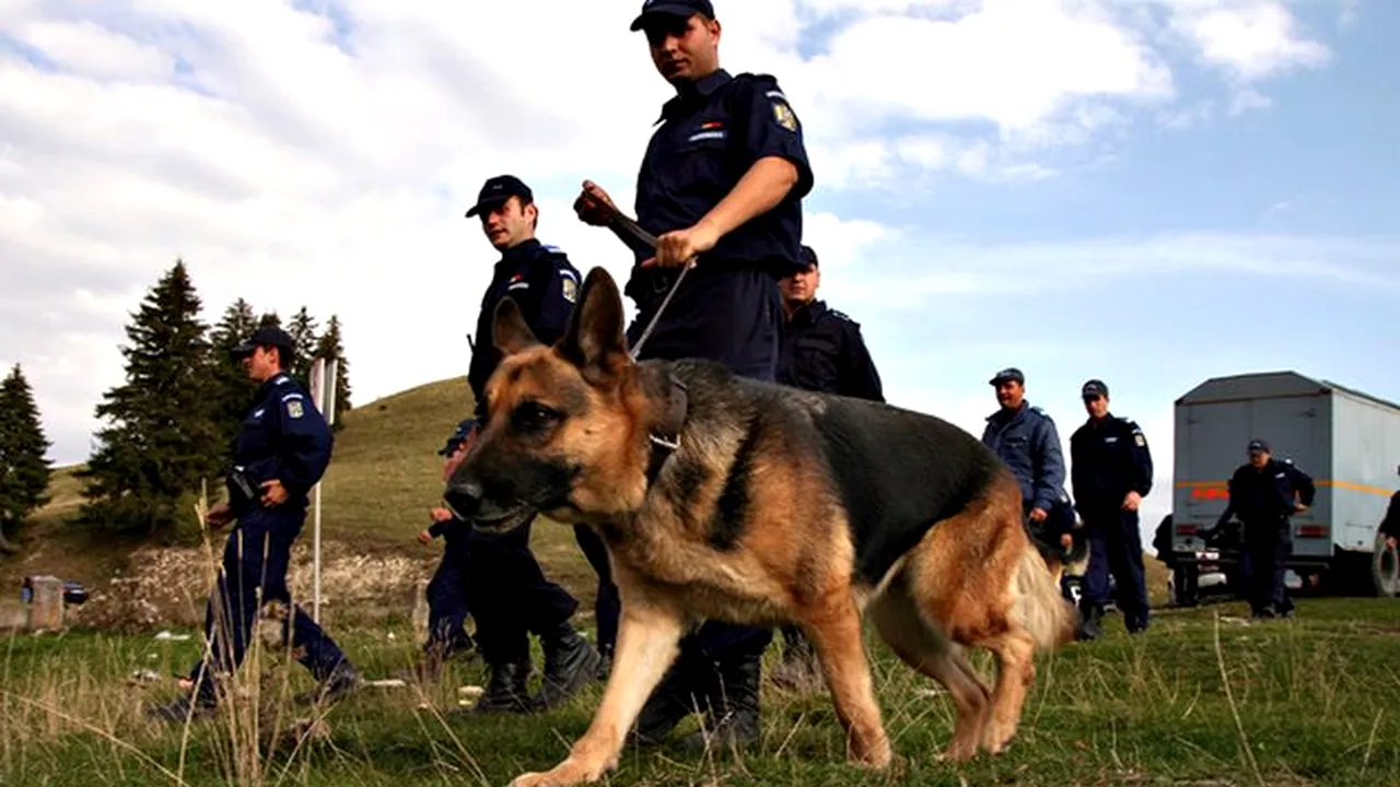 Cazul copilul dispărut în Constanța | Băiețelul este căutat într-un bazin de dejecții 
