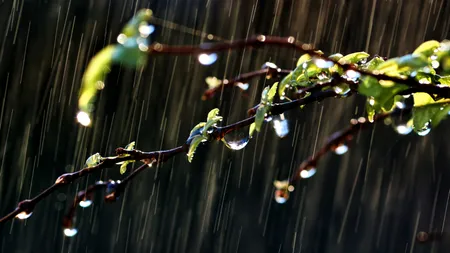 Vremea, 26 aprilie 2025. Sunt așteptate ploi, însoțite de descărcări electrice. Ce temperaturi vor fi