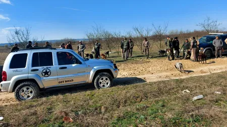 UPDATE: FOTO-VIDEO. Fermă de oi dintr-o localitate din Dolj, atacată de șacali. Zeci de animale au fost ucise / Vânătorii au reușit capturarea unui prădător