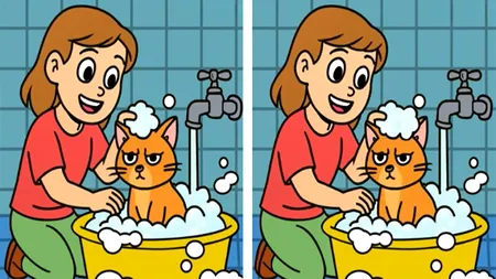 Test de logică | 3 diferențe în 33 de secunde: Le puteți identifica?