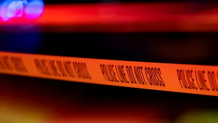 Descoperire fabuloasă în pivnița unui producător de vin din AUSTRIA. Are între 30.000 și 40.000 de ani vechime!