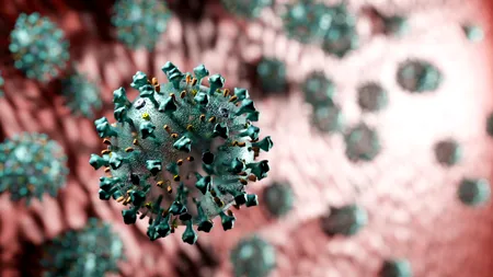 România, vulnerabilă în fața virusului depistat în apele uzate din mai multe state europene. Semnalul de alarmă al autorităților sanitare