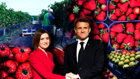 Se zguduie relația Chișinău - Paris? Franța suspendă importul și comercializarea produselor fanion din Republica Moldova