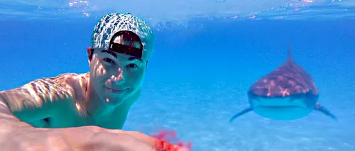 Ce tip de sânge preferă rechinii? Un youtuber a descoperit singur răspunsul. Cel mai viral VIDEO de pe net!