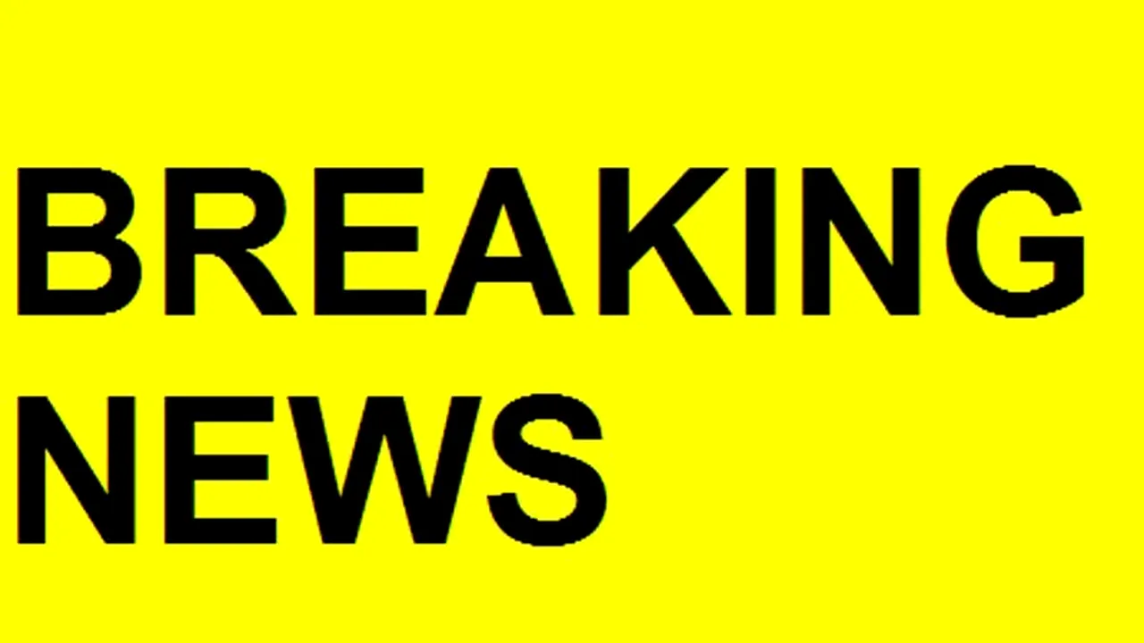 Lovitură de teatru: etichete falsificate în România - carne de cal etichetată drept carne de vită într-un depozit lângă București