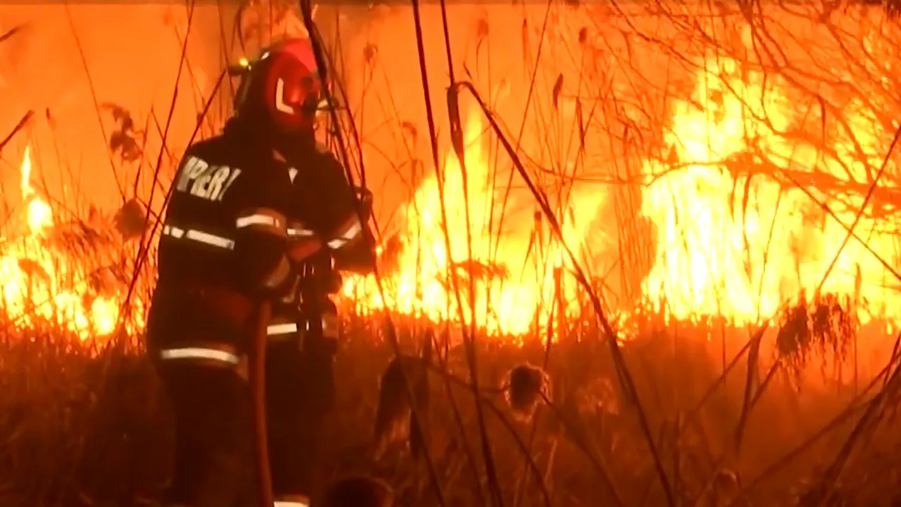 O parte din rezervația naturală Dumbrăvița, supranumită „Delta din Carpați”, afectată de un INCENDIU de vegetație. Au ars complet 4 hectare de stuf