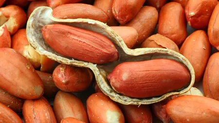 Untul de arahide ar putea ajuta la detectarea stadiilor incipiente ale maladiei Alzheimer