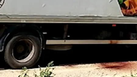 Poliția îl caută în România pe liderul a trei suspecți arestați, după drama din Austria: 71 de cadavre în descompunere găsite într-un camion înmatriculat în Ungaria